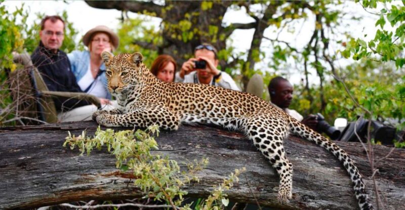 5 Day Small Group Garden Route Tour From CapeTown Dep Monday - Key Points