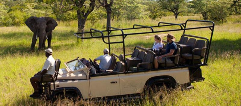 5 Day Small Group Garden Route Tour From CapeTown Dep Monday - Accommodation and Dining