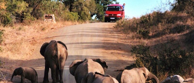 5 Day Small Group Garden Route Tour From CapeTown Dep Monday - Wine Tasting Experiences