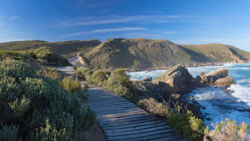5 Day Small Group Garden Route Tour From CapeTown Dep Monday - Wildlife Encounters