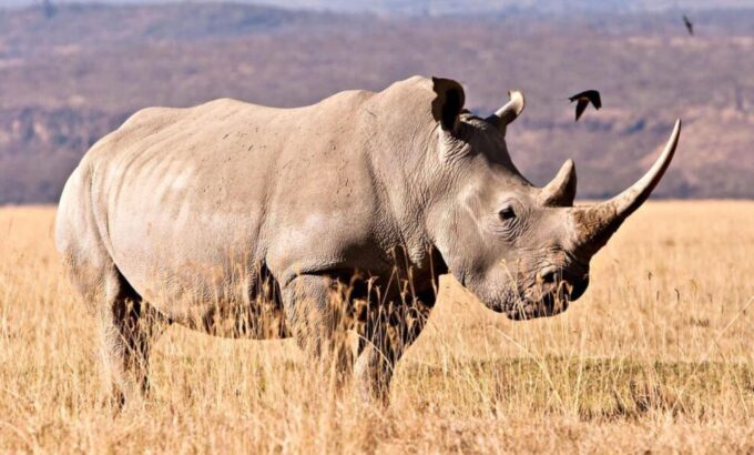5 Day Small Group Garden Route Tour From CapeTown Dep Monday - Frequently Asked Questions