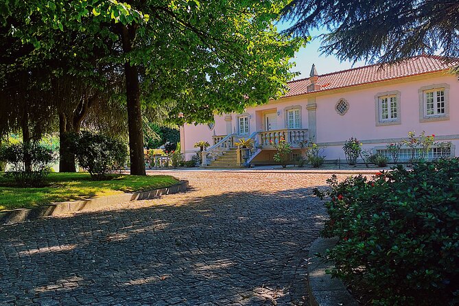 5 Day Solo or Couple Retreat at a Lovely Farm in Porto - Dining and Refreshment Options