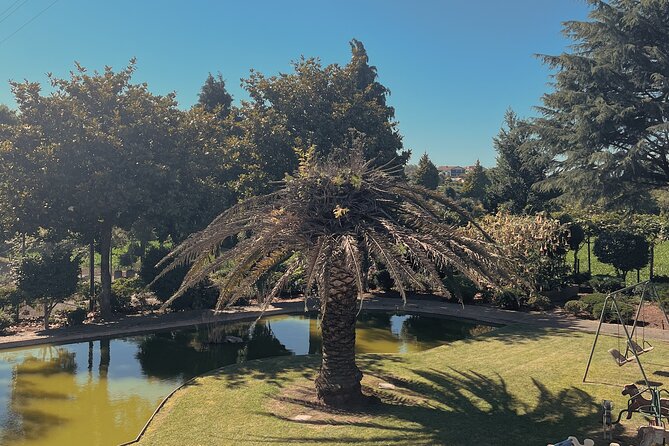 5 Day Solo or Couple Retreat at a Lovely Farm in Porto - Retreat Schedule and Activities