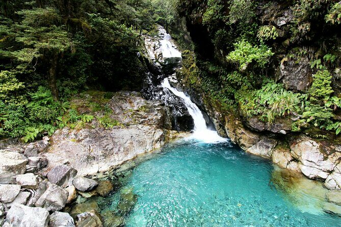 5 Day South Island New Zealand Private Tour from Dunedin - FAQs