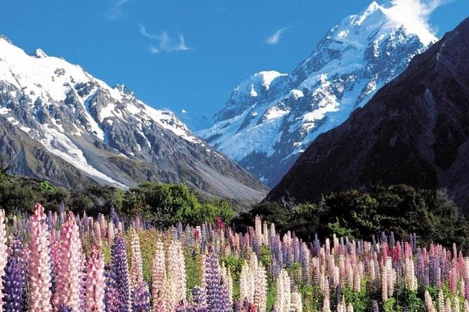 5-Day South Island Tour From Christchurch - Day 1: Christchurch to Queenstown