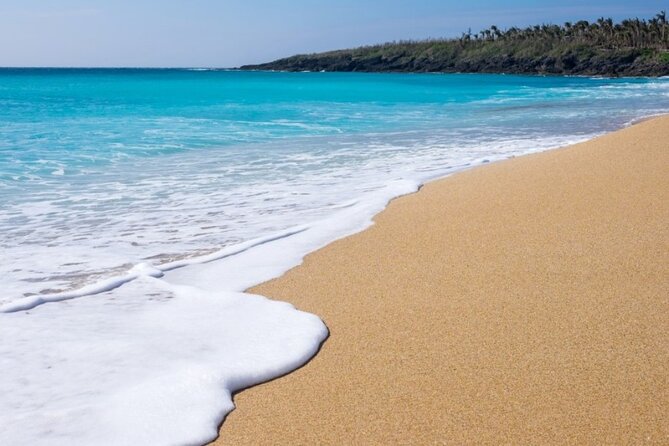 5-day Taiwan Classic Southern Island Fun Private Tour - Dietary Requirements
