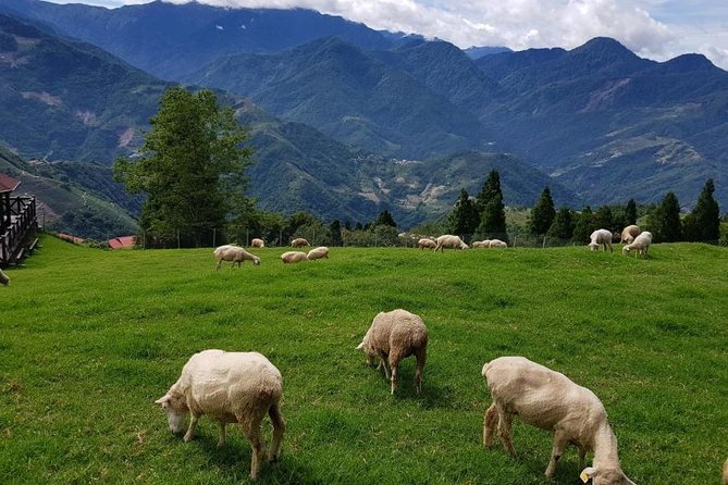 5-day Taiwan Family Fun Private Tour - Inclusions