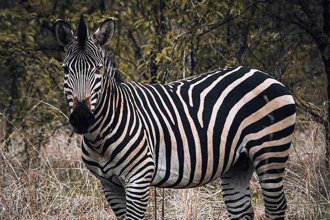 5-Day Tanzania Camping Safari - Additional Information