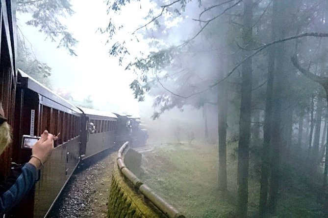 5-Day Taroko Gorge, Sun Moon Lake and Alishan Private Tour - Health and Safety Information