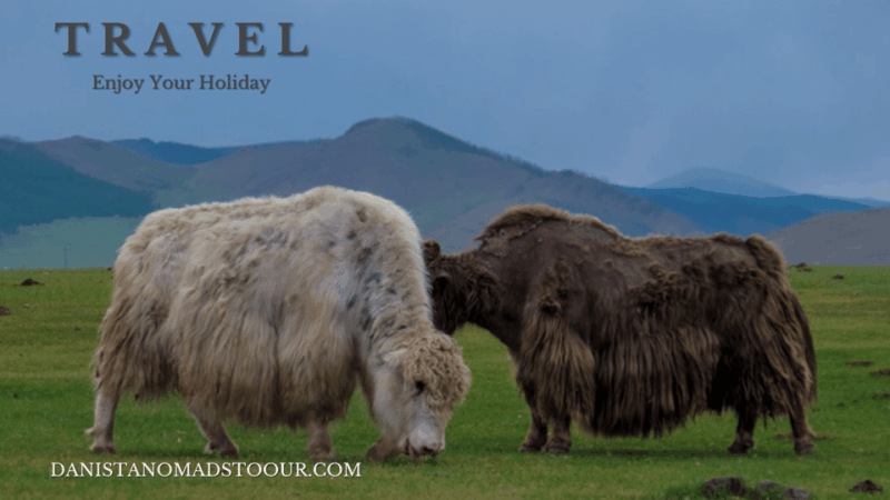 5 Day /Terelj, Chinggis Khaan Statue, Central Mongolia - Itinerary Highlights
