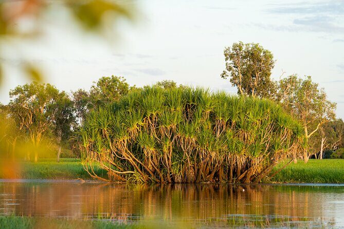 5 Day Top End Camping Tour - A Deep Dive into the Itinerary