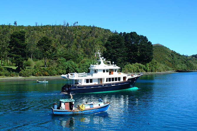 5-Day Tour Chile & North Patagonia - Review Highlights