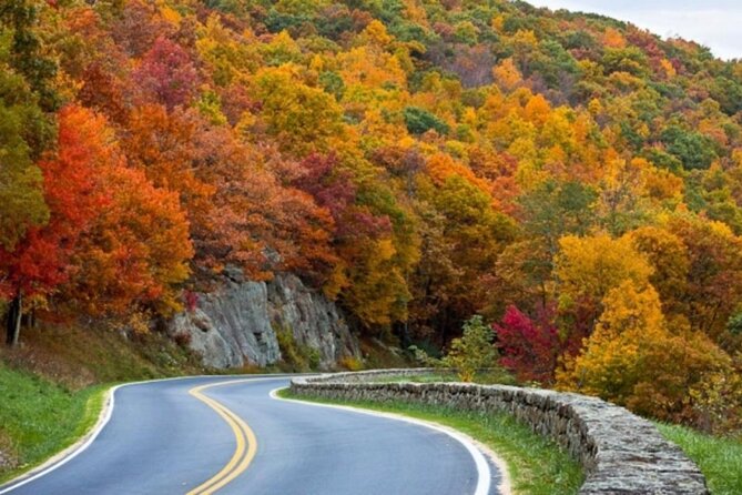 5-Day Tour in Washington D.C. With Airport Pick-Up - Included Amenities