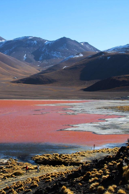 5-Day Tour of Uyuni and Red Lagoon - Key Points