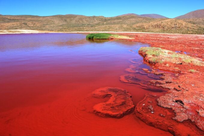 5-Day Tour of Uyuni and Red Lagoon - Early Morning Excursions