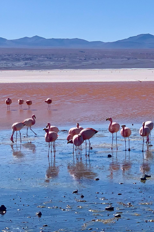 5-Day Tour of Uyuni and Red Lagoon - Entrance Fees and Additional Costs