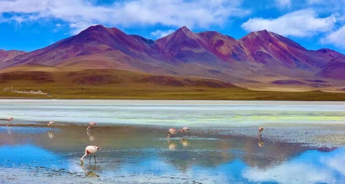 5-Day Tour of Uyuni and Red Lagoon - Reserve Now & Pay Later
