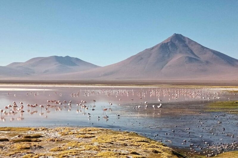 5-Day Tour of Uyuni and Red Lagoon - Tour Overview and Pricing