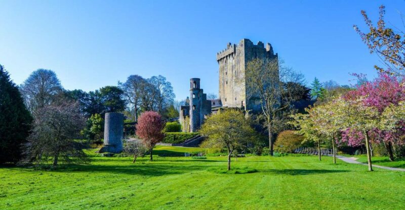 5-Day Tour of West Ireland: Blarney Stone & Cliffs of Moher - Key Points