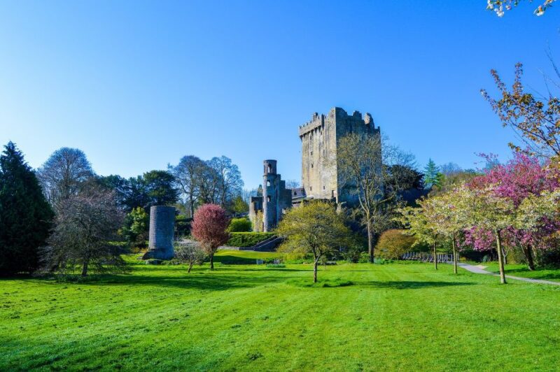 5-Day Tour of West Ireland: Blarney Stone & Cliffs of Moher - Cliffs of Moher and Bunratty