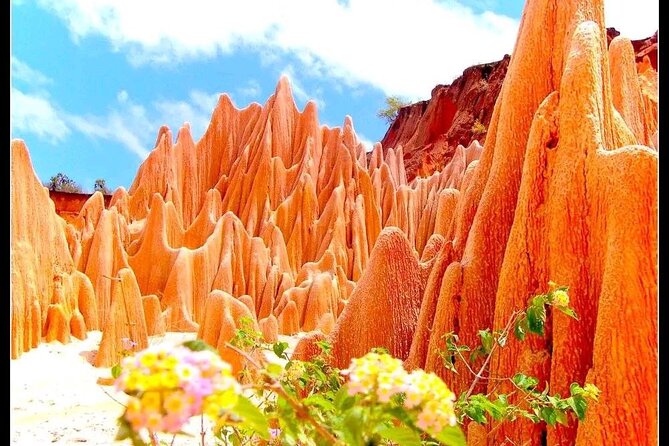 5-Day Tour to Discover the North of Madagascar - Health and Accessibility