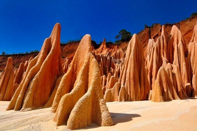 5-Day Tour to Discover the North of Madagascar - Feedback and Reviews
