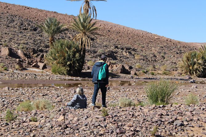 5-Day Trek - in the Draa Valley - Location and Reviews