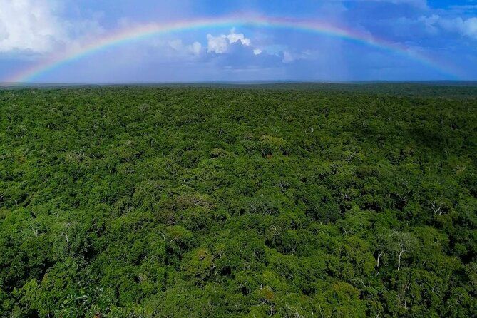 5-Day Trekking To El Mirador From Flores - All Included Camping Tour - Trekking in the Guatemalan Jungle