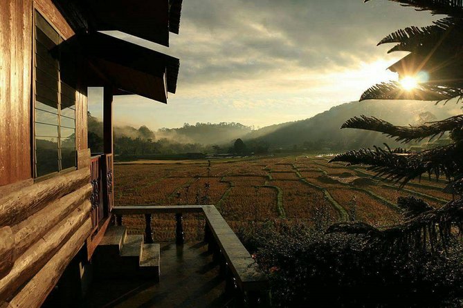 5 Day Tuk Tuk Adventure in Chiang Mai - With Driver - Confirmation and Accessibility