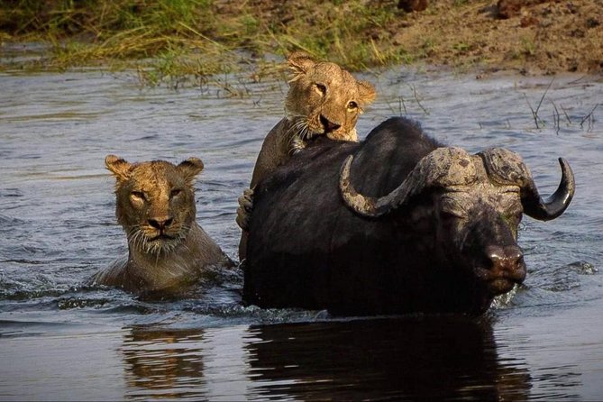 5 Day Victoria Falls and Chobe National Park Camping Tour - Accessibility and Health Considerations