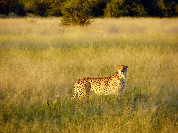 5 Day Victoria Falls and Chobe National Park Camping Tour - Booking Information