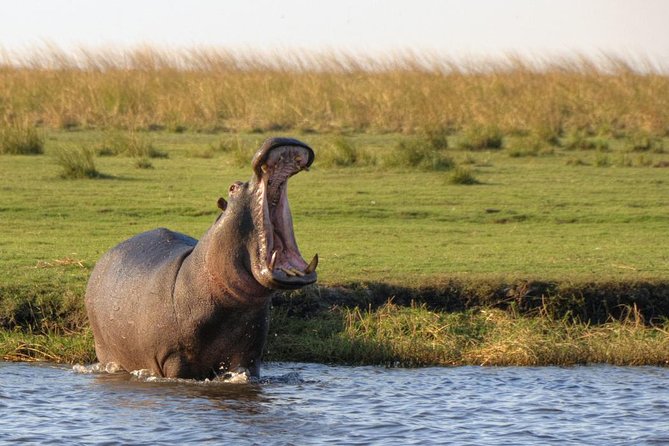 5 Day Victoria Falls and Chobe National Park Luxury Accommodated Tour - Overview of the Tour