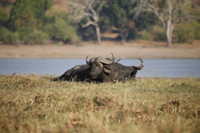5 Day Victoria Falls and Chobe National Park Luxury Accommodated Tour - Pricing and Cancellation Policy