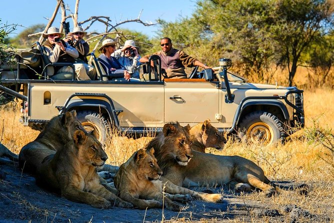 5-Day Victoria Falls and Chobe Tour From Victoria Falls - Important Details