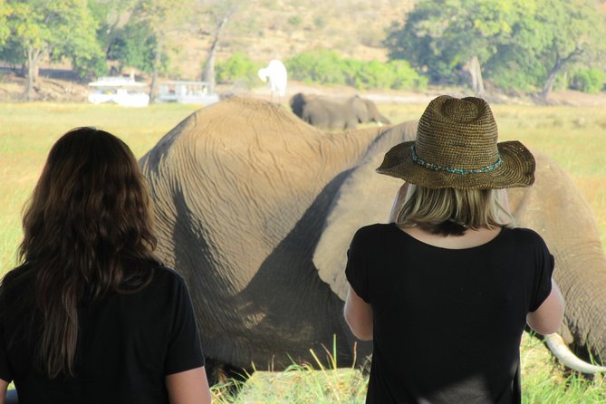 5-Day Victoria Falls and Chobe Tour From Victoria Falls - Activity Highlights