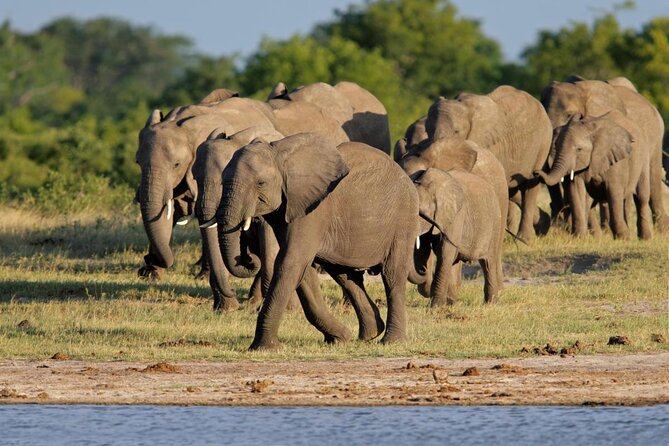5 Day Victoria Falls and Hwange National Park Accommodated Safari Tour - Key Points
