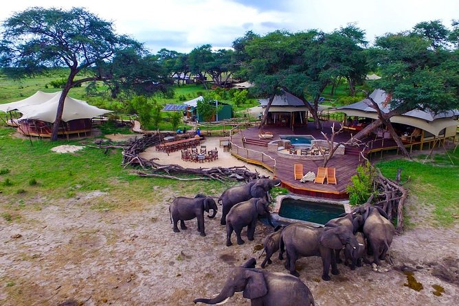 5 Day Victoria Falls and Hwange National Park Accommodated Safari Tour - Included Experiences