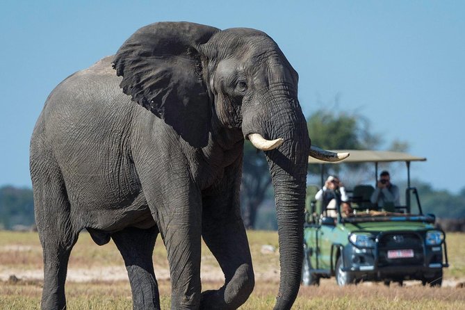 5 Day Victoria Falls and Hwange National Park Accommodated Safari Tour - Accommodation Options