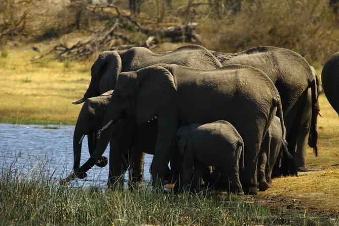 5 Day Victoria Falls and Hwange National Park Accommodated Safari Tour - Transportation Details