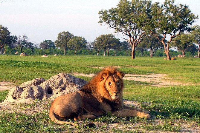 5 Day Victoria Falls and Hwange National Park Accommodated Safari Tour - Booking Information