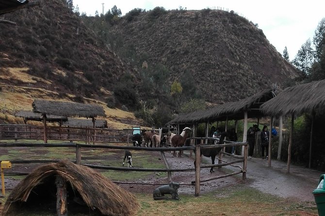 5 Day View The Most Popular The Sacred Valley, Machu Picchu & Rainbow Mountain - Discovering Machu Picchu