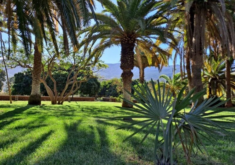 5 Day Wellness & Relaxation Break in Northern Tenerife - Yoga and Mindfulness