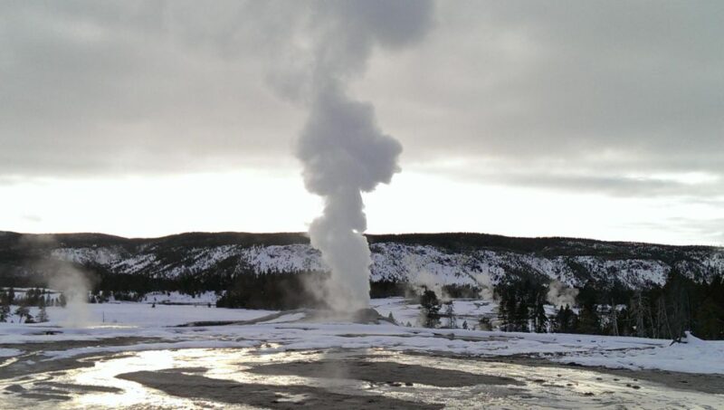5-Day Winter Yellowstone Wildlife Tour - Available Dates