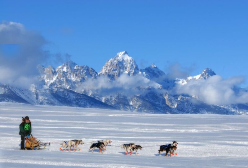 5-Day Winter Yellowstone Wildlife Tour - Group Size and Languages