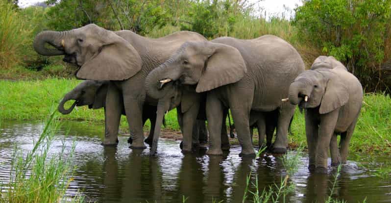 5 Day Zululand Pvt Safari From Durban Plus Drakensberg M - Accommodation