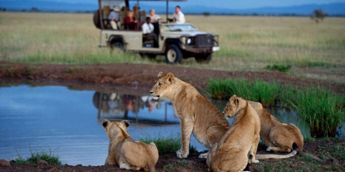 5 Day Zululand Tour From Durban - Pickup and Transport