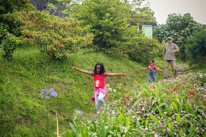 5 Days, 4 Nights Backpacking Kingston Jamaica - Dining and Cuisine
