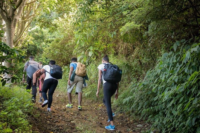 5 Days, 4 Nights Backpacking Kingston Jamaica - Transportation and Guides