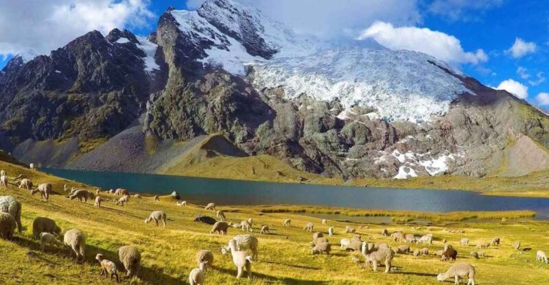 5 Days 4 Nights Excursion on the Ausangate Apu Trail - Key Points