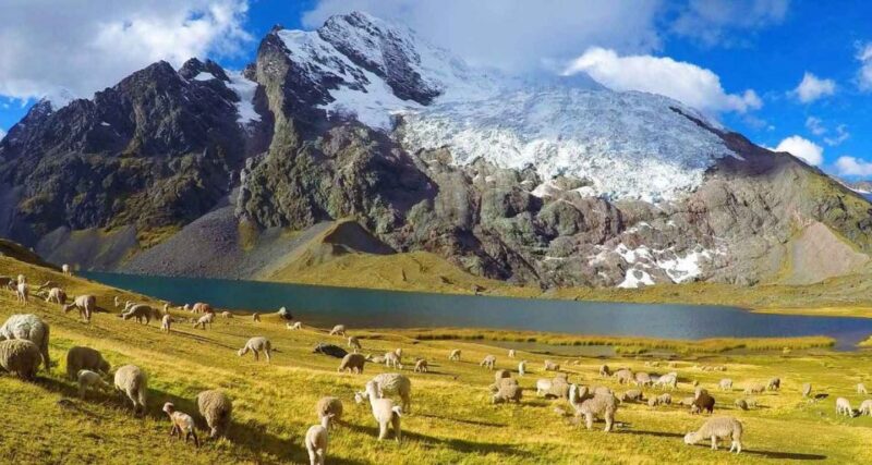 5 Days 4 Nights Excursion on the Ausangate Apu Trail - Daily Itinerary